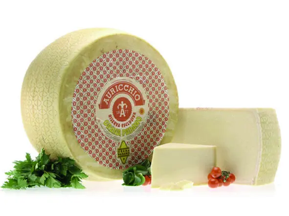 10.01.003.015 Queso Parmesano Grana Padano Italiano